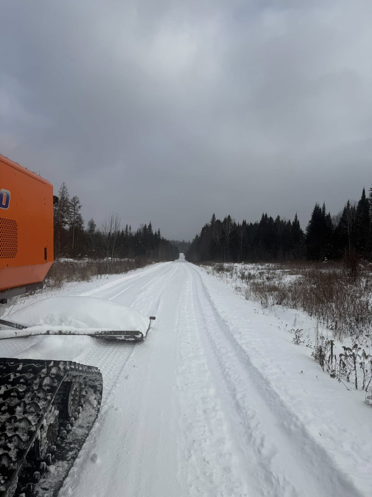 Sightings around the Moosetown Riders Trail System