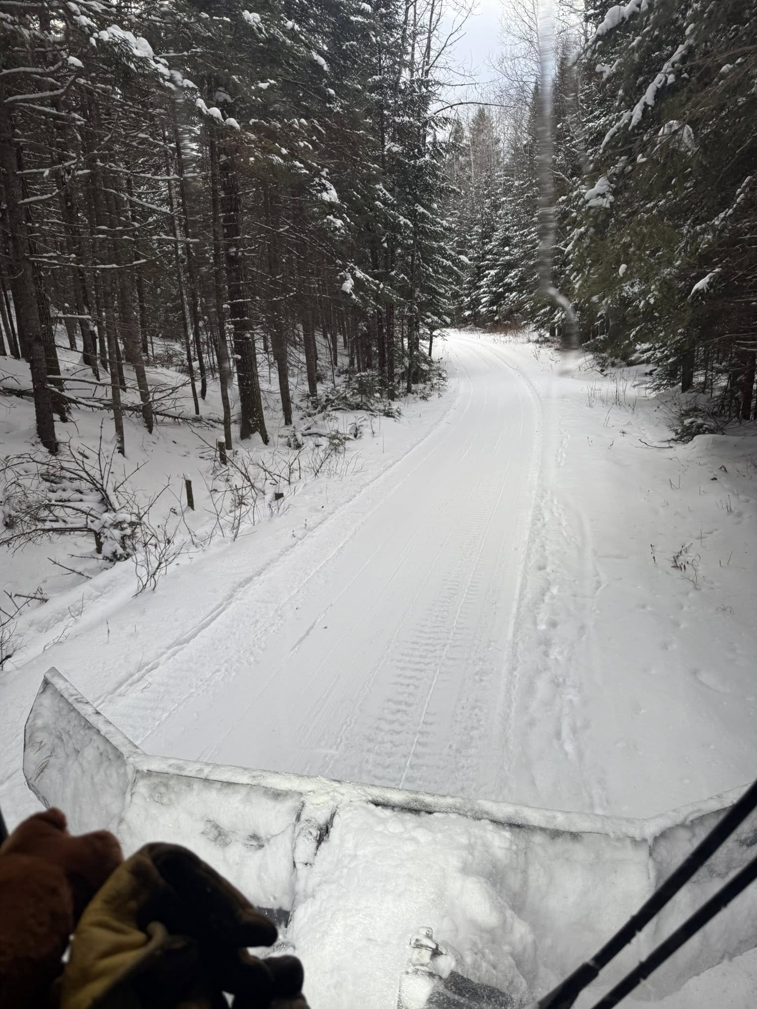 600171054_1278247631000352_6148205118734483499_n